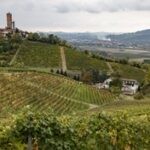 Barbaresco_Alessandro Sgarito_Archivio Ente Turismo LMR