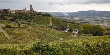 Barbaresco_Alessandro Sgarito_Archivio Ente Turismo LMR